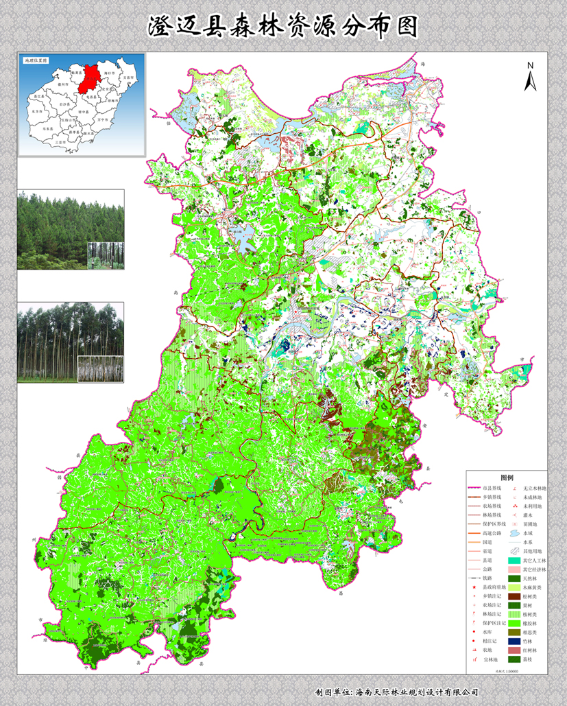 澄迈县森林资源分布图图片