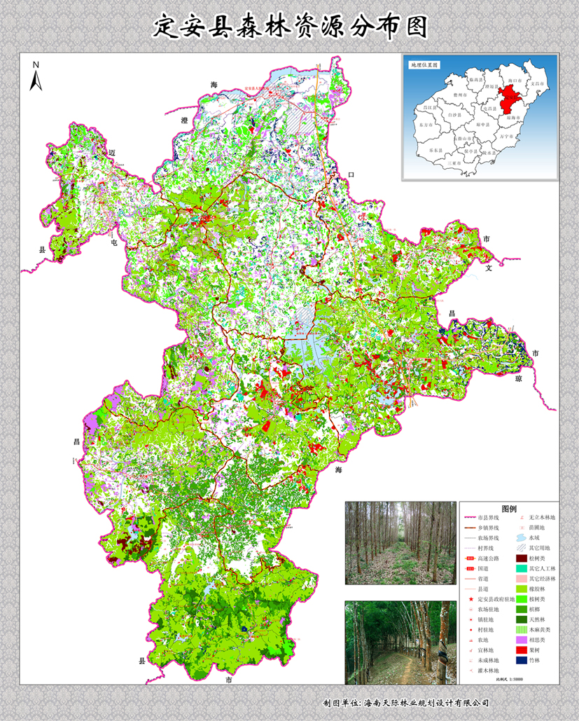 定安县森林资源分布图